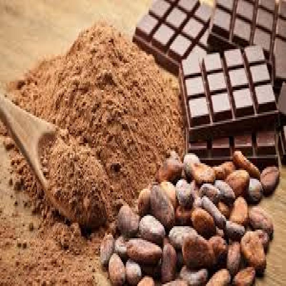 Cacao en grano 50KG