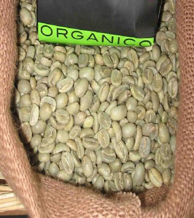 Café Orgánico Oro Verde