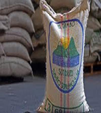 Café Verde en Grano DCAFVRAE